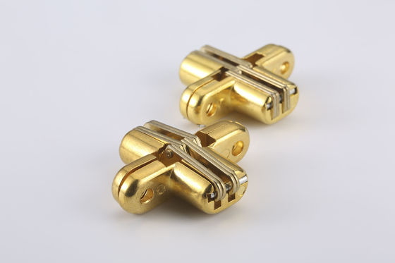 50lbs 180度のほぞ穴の台紙の見えない蝶番のステンレス鋼材料