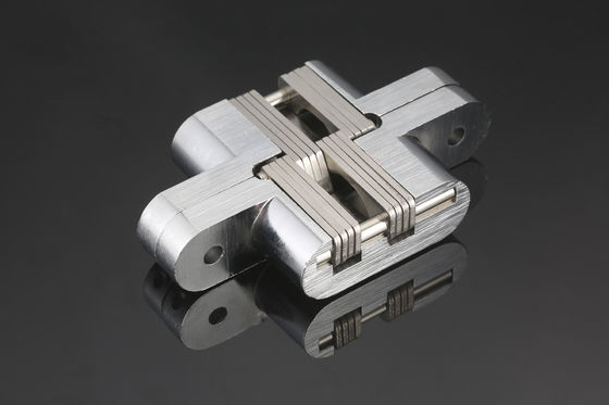 電気めっきされた頑丈な隠された多目的防食剤をドア ヒンジ